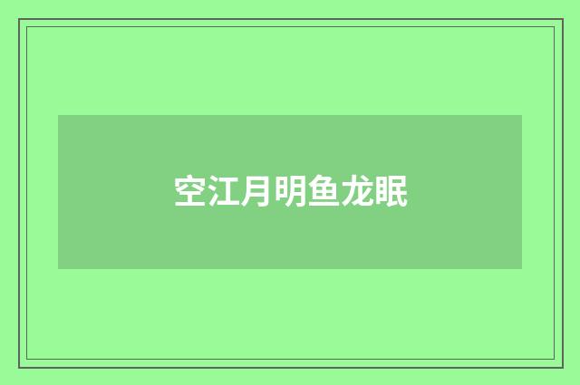 空江月明鱼龙眠