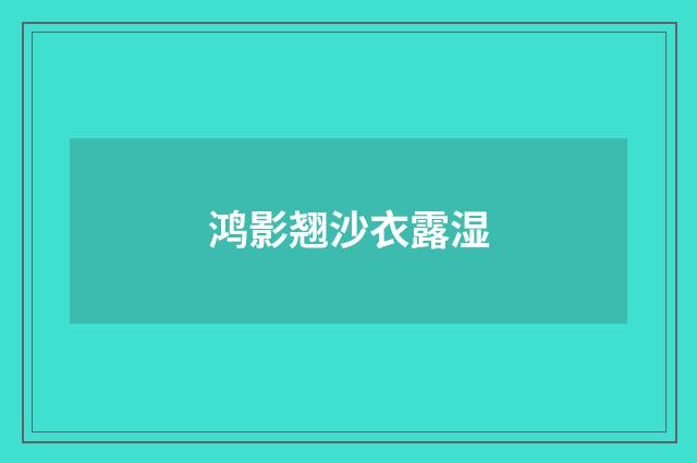 鸿影翘沙衣露湿