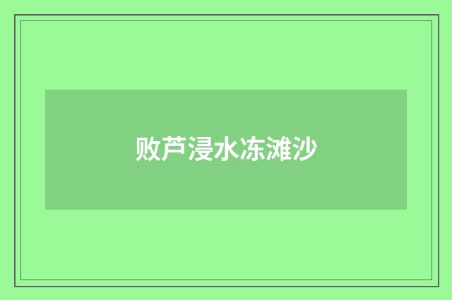 败芦浸水冻滩沙