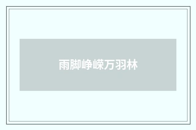 雨脚峥嵘万羽林
