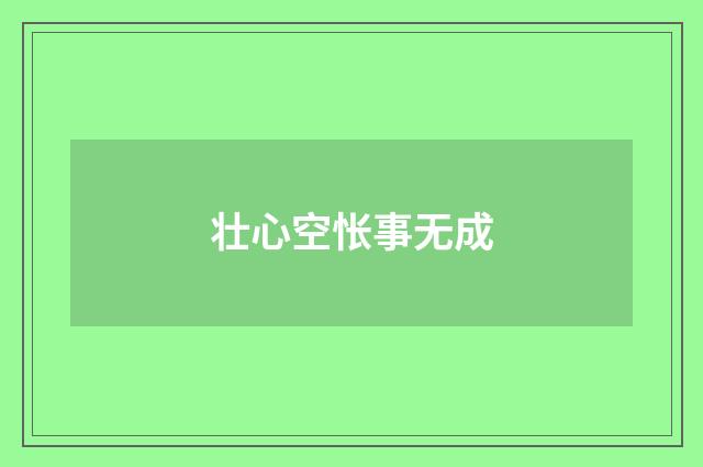 壮心空怅事无成