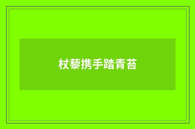 杖藜携手踏青苔