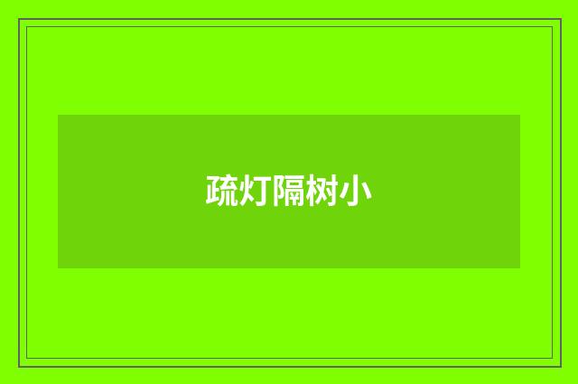 疏灯隔树小