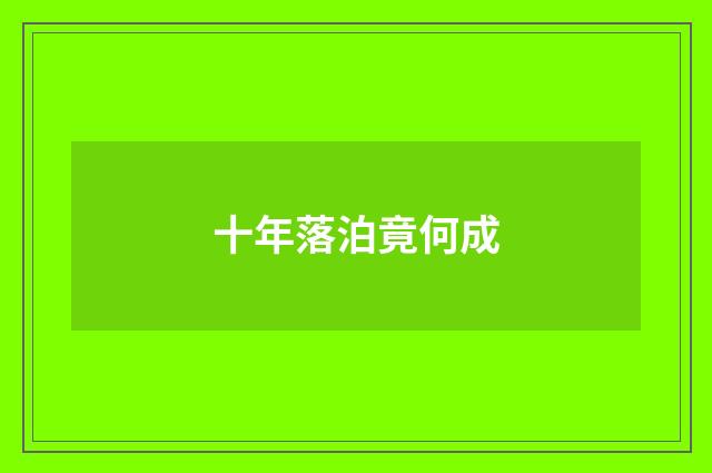 十年落泊竟何成