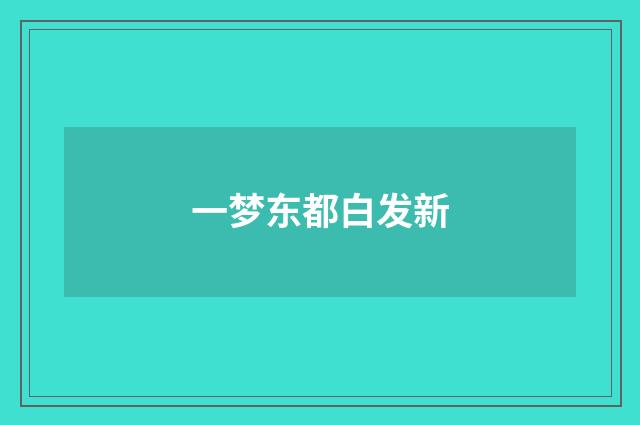 一梦东都白发新