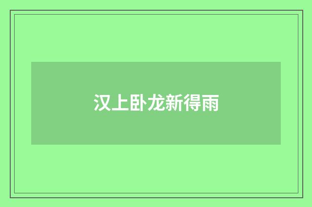 汉上卧龙新得雨