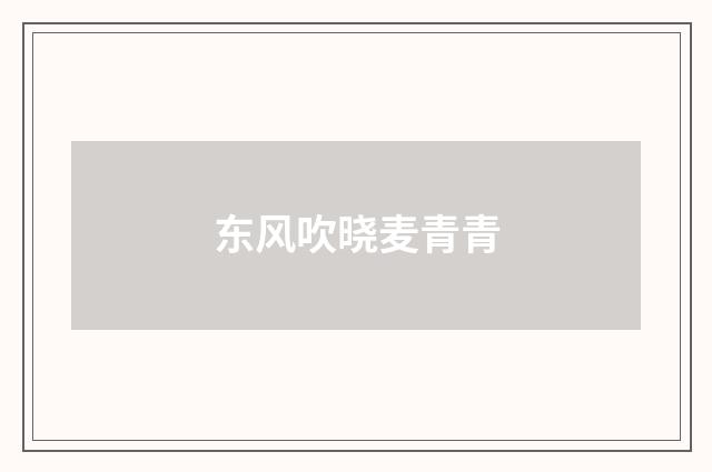 东风吹晓麦青青
