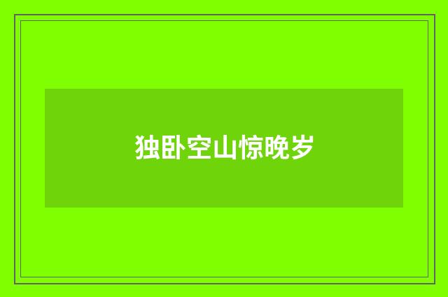 独卧空山惊晚岁
