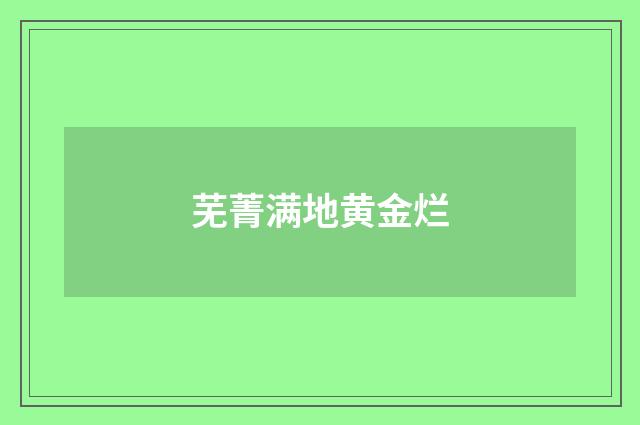 芜菁满地黄金烂
