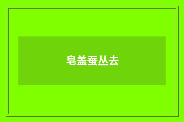 皂盖蚕丛去