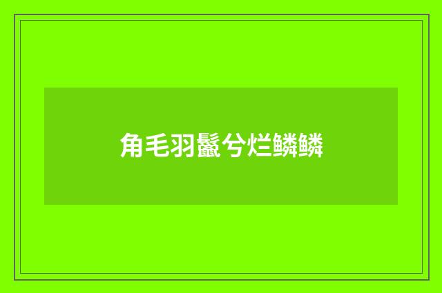 角毛羽鬣兮烂鳞鳞