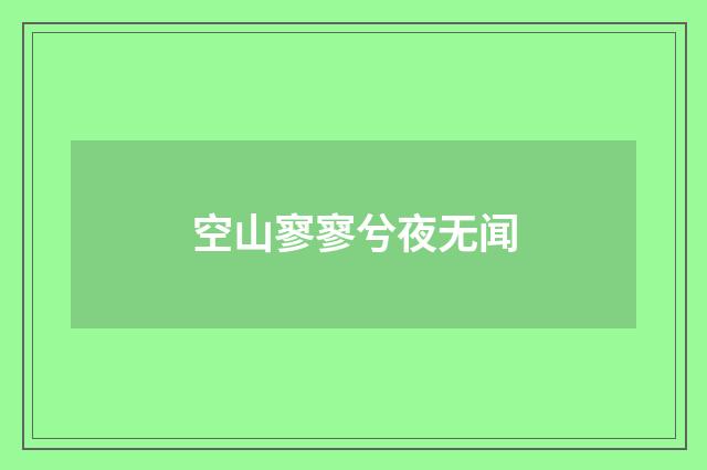 空山寥寥兮夜无闻