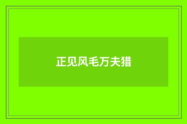 正见风毛万夫猎