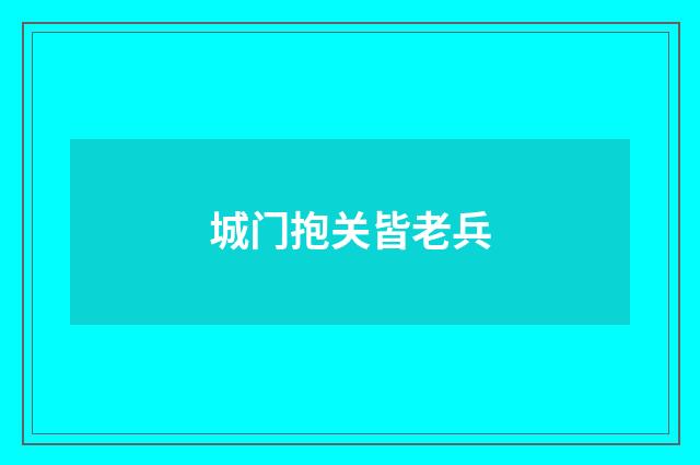 城门抱关皆老兵