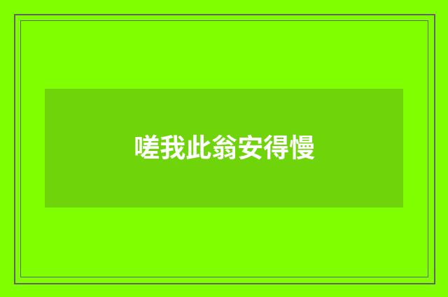嗟我此翁安得慢