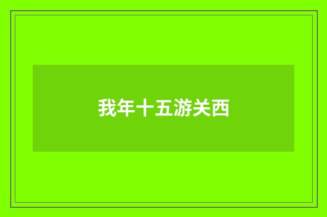 我年十五游关西