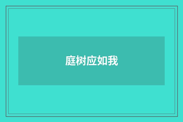 庭树应如我