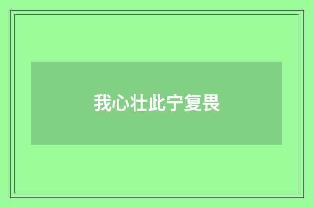 我心壮此宁复畏