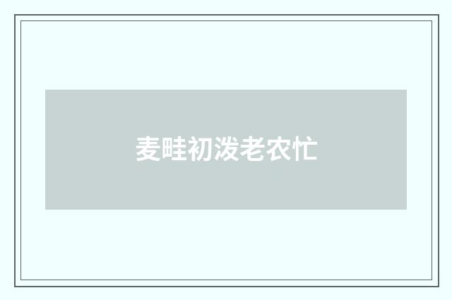 麦畦初泼老农忙