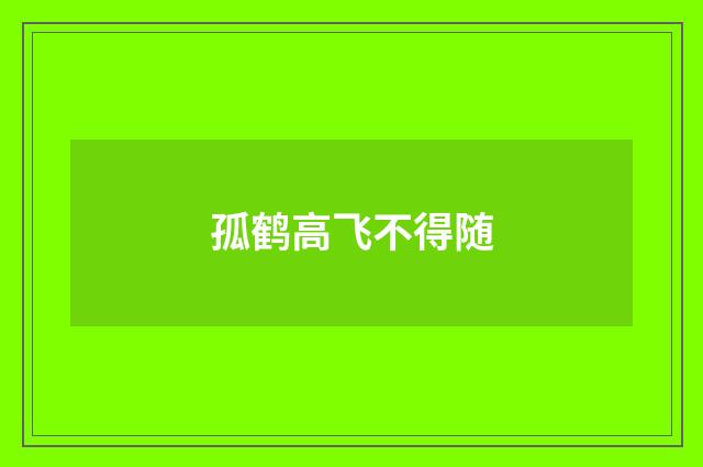 孤鹤高飞不得随