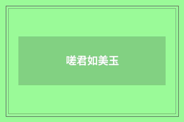 嗟君如美玉