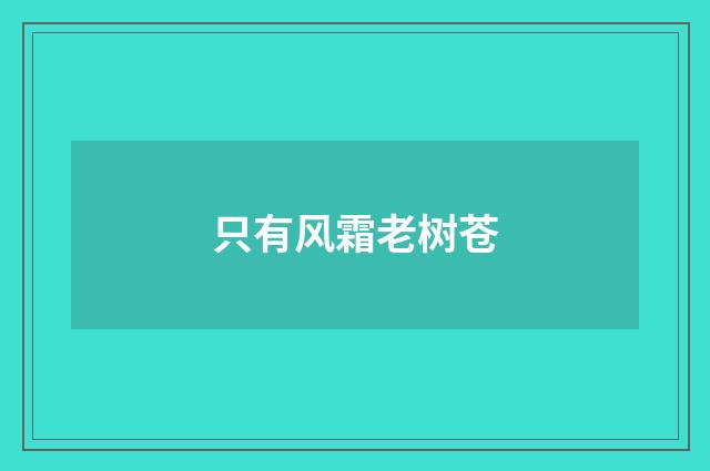 只有风霜老树苍