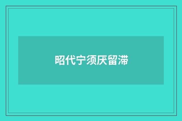 昭代宁须厌留滞