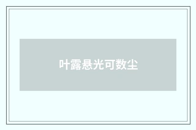 叶露悬光可数尘
