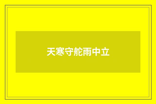 天寒守舵雨中立
