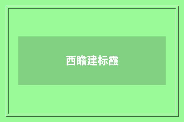 西瞻建标霞