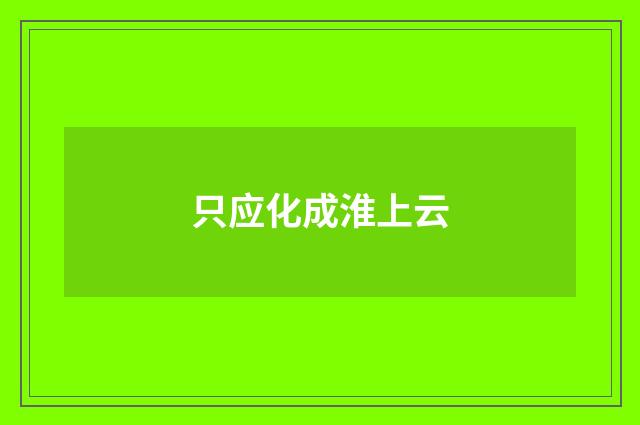 只应化成淮上云