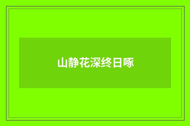 山静花深终日啄