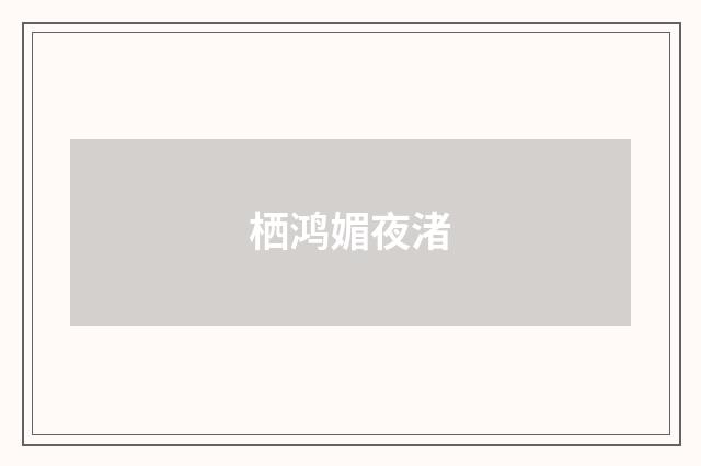 栖鸿媚夜渚