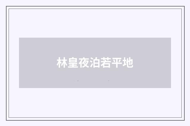 林皇夜泊若平地