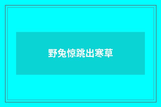 野兔惊跳出寒草
