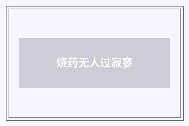 烧药无人过寂寥