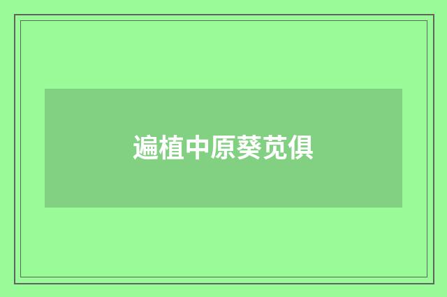 遍植中原葵苋俱