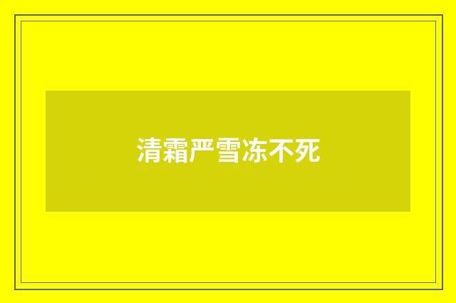 清霜严雪冻不死