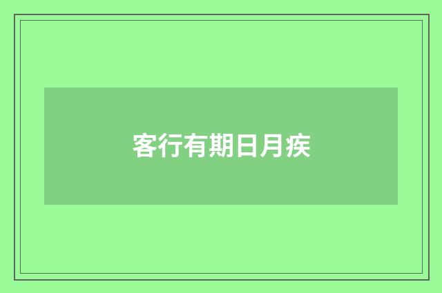 客行有期日月疾