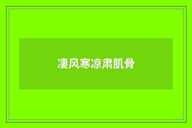 凄风寒凉肃肌骨