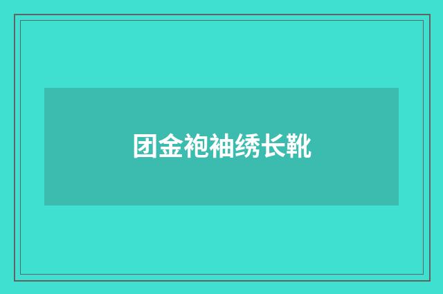 团金袍袖绣长靴