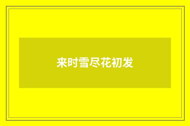 来时雪尽花初发