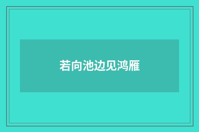 若向池边见鸿雁