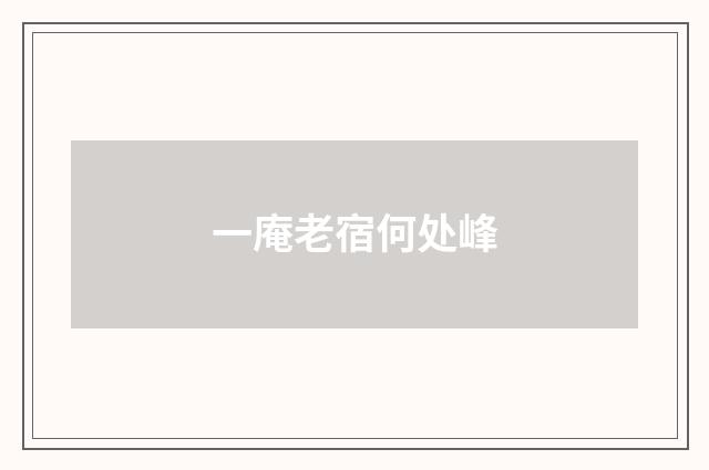 一庵老宿何处峰