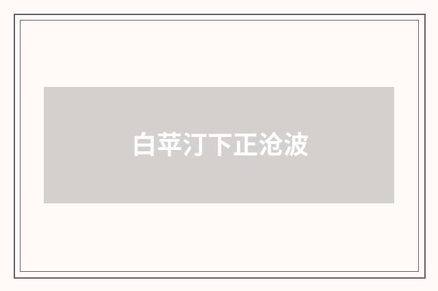 白苹汀下正沧波
