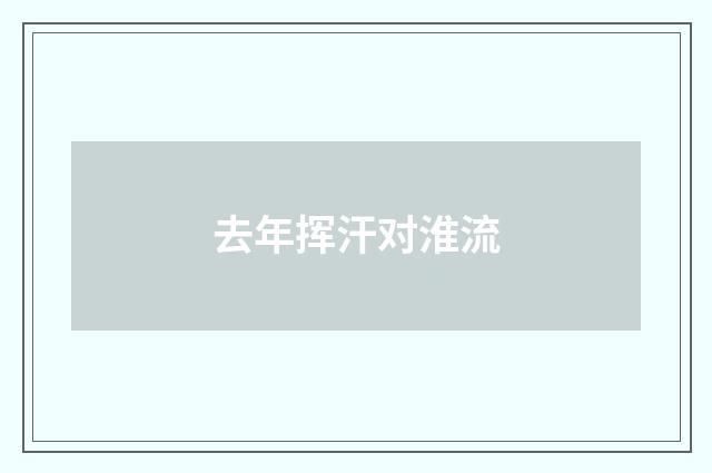 去年挥汗对淮流