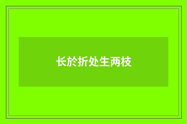 长於折处生两枝