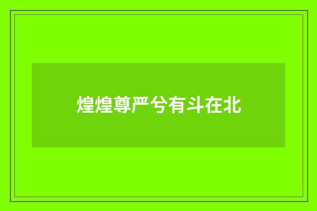 煌煌尊严兮有斗在北