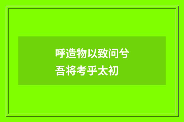 呼造物以致问兮吾将考乎太初