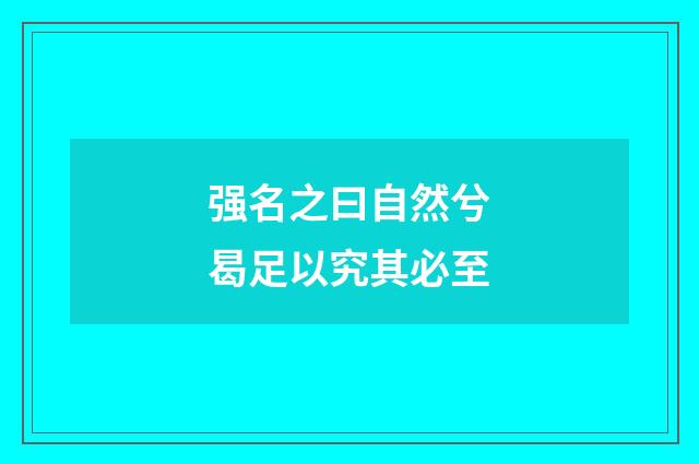 强名之曰自然兮曷足以究其必至